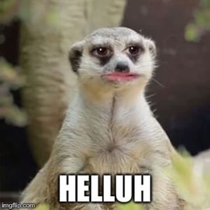 Meet your Posher, Mike